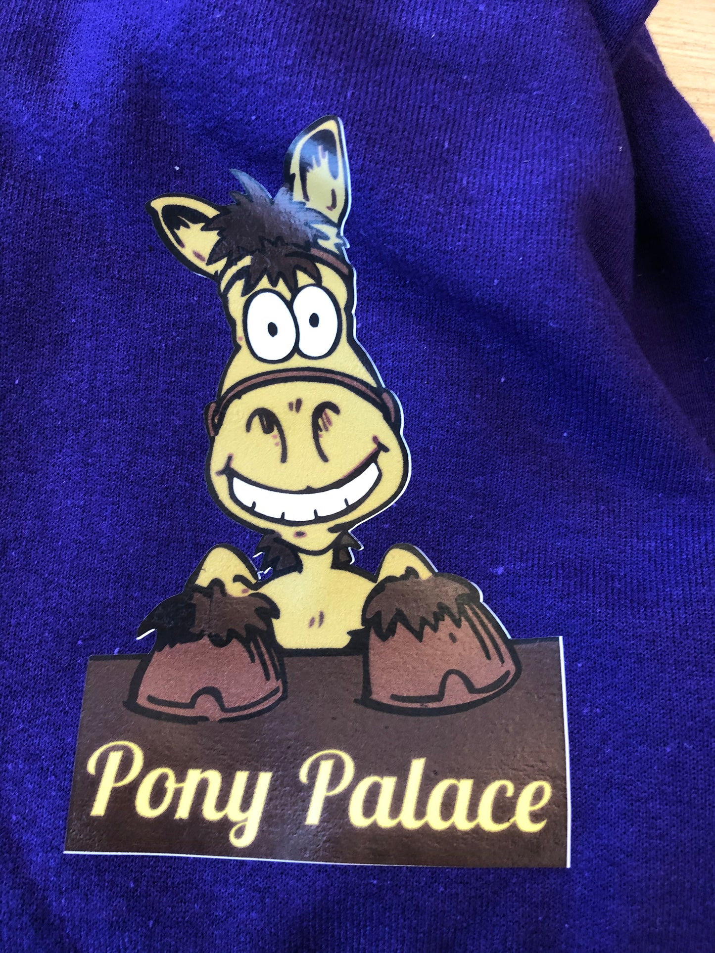 Pony Palace Hoodie