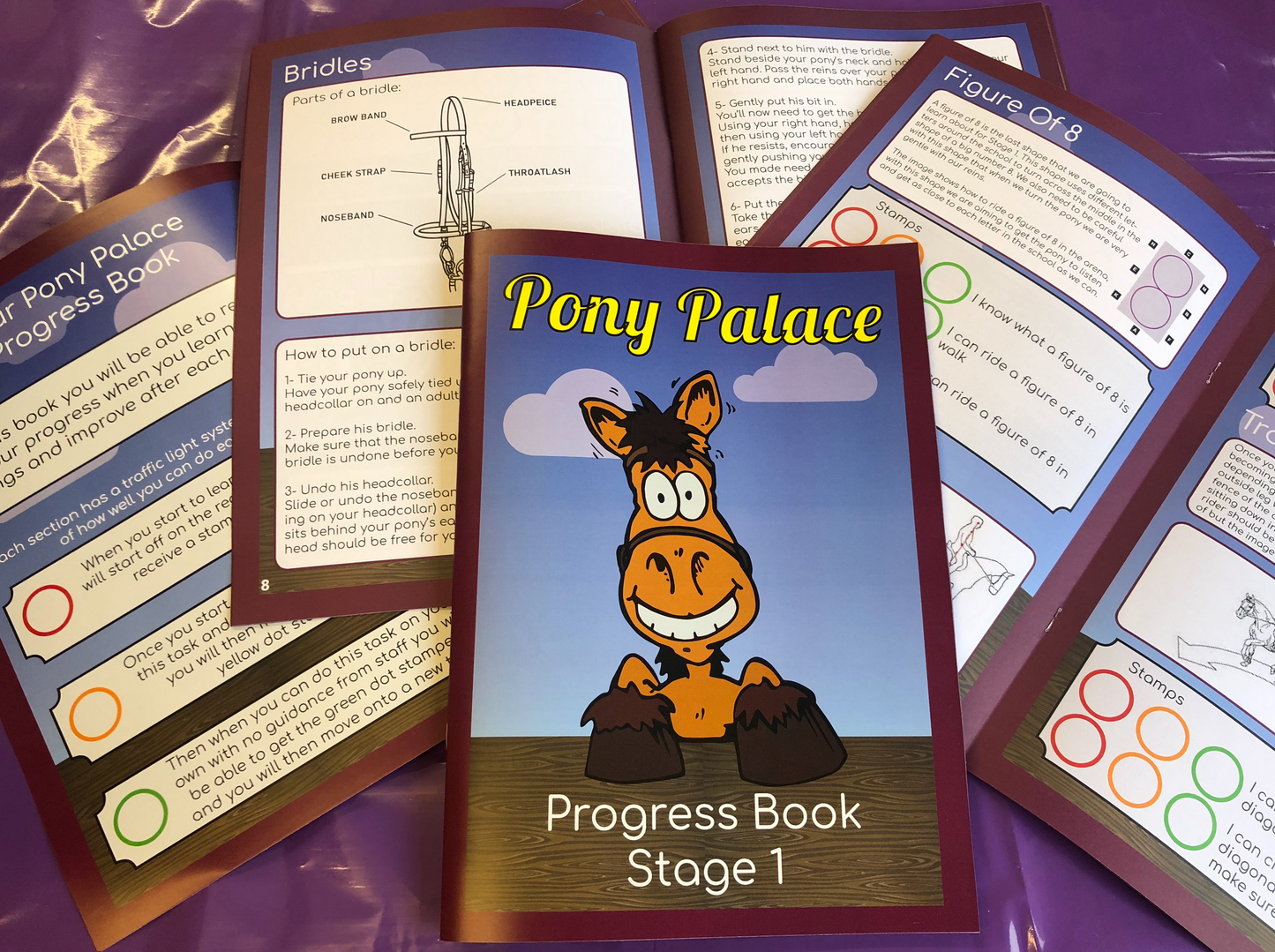 Pony Palace Stage 1 Progress Book